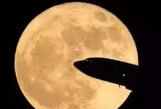  Cara Memotret Supermoon agar Hasil Keren dan Tajam