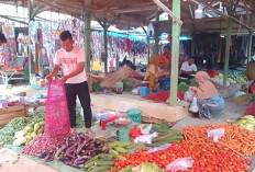 Harga Tomat Ikut Naik 