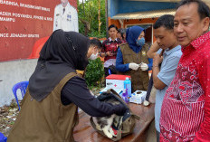 Sebanyak 2.000 Lebih Hewan Peliharaan Dapat Vaksin Rabies Gratis dari Pemkot Bandar Lampung 