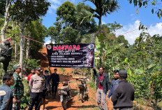 TNBBS Tegas Ingatkan Perambah Ancaman Harimau 