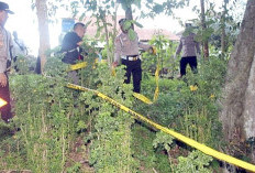 Mayat Terapung di Mata Air, Polisi Ungkap Dugaan Penyebab Kematian Tupon Laksono