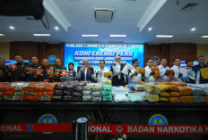 BNN Ungkap 84 Kasus Narkoba, Lebih dari Setengah Ton Barang Bukti Disita