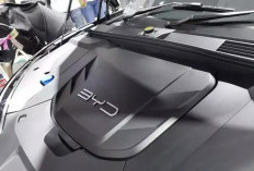  BYD Pimpin Penjualan Mobil Listrik 