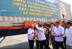 Lampung Ekspor Perdana Getah Damar ke Ethiopia 