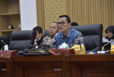  Sembilan Fraksi Komisi VI DPR Dukung PMN 2025 Senilai Rp44,2 Triliun