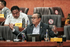 Deddy Yevri Nilai Pernyataan Luhut soal Jasa Jokowi Terlalu Berlebihan