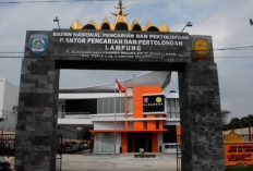Kecelakaan Air, 25 Orang Meninggal 