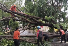 Hujan Badai di Bandar Lampung Rusak Puluhan Atap Rumah Warga