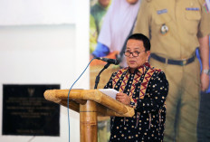 Arinal: Pengelolaan Hutan di Lampung Butuh Perencanaan Matang