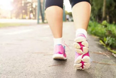  Japanese Walking Makin Digemari