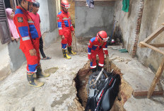 Damkar Metro Tangani 334 Laporan Penyelamatan