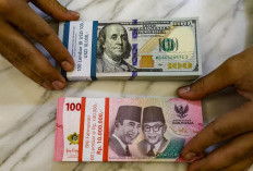  ULN Indonesia Tumbuh 8,2 Persen, Tembus USD431,5 M