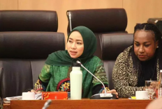 DPR Minta Segera Terbitkan PP Turunan UU Minerba
