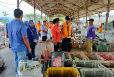 Adi Erlansyah dan Hisbullah Huda Tinjau Pengolahan Limbah Plastik dan Ternak Ayam Petelur di Gadingrejo