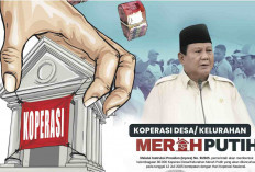 Koperasi Merah Putih di Lampung 100 persen Terbentuk