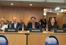 Gabung ke OECD, Langkah Indonesia Menuju Negara Maju