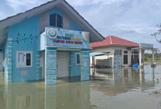 Sebabkan Banjir Rob, Tanggul Jebol di Tulangbawang Ditambal Geobag