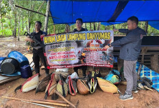  Gerebek Judi Sabung Ayam dan Koprok, Warga Kocar-kacir