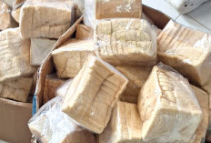 Dapur MBG Pasar Liwa Salurkan Roti Berjamur, Satgas Beri Teguran Tertulis