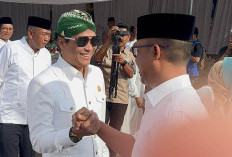 PO Nakal Berpotensi Naikkan Tarif Lebihi 20 Persen