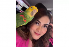 Jojo, Burung Parrot yang Fasih Nyanyi Lagu Mahalini 