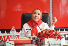 Pemkot Bandar Lampung Imbau Warga dan Pelaku Usaha Kibarkan Bendera Merah Putih Jelang HUT RI ke-80