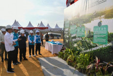 Presiden Jokowi Groundbreaking Pembangunan PLTS PLN 50 MW di IKN Nusantara