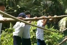 Jembatan Rusak di Tanggamus Viral, Pelajar Nekat Melintas Demi ke Sekolah
