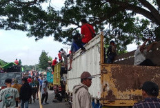 Ribuan Petani Singkong di Lampung Demo Empat Perusahaan