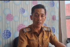 Enam Bulan, Dinas PPPA Bandar Lampung Catat 26 Kasus Kekerasan Anak 