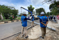 PLN UID Lampung Gerak Cepat Normalkan Pasokan Listrik Akibat Pohon Tumbang