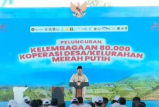   Presiden Ingatkan Integritas dan Akuntabilitas dalam Pengelolaan Koperasi