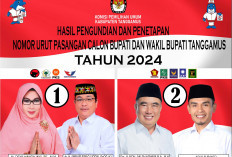 Kontestasi Pilbup Tanggamus 2024: Saleh Asnawi-Agus Suranto 59,8%, Dewi Handajani-Amar Siradjudin 39,8% 