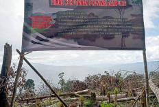 Illegal Logging di Register 43 B, Pemprov Lampung Diminta Bersikap Tegas