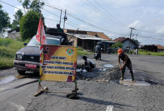 Pramuka Waykanan Bantu Perbaiki Jalan Rusak 