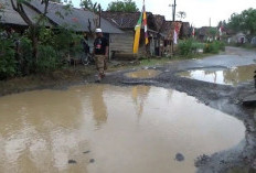   Jalan Rusak Tak Diperbaiki, Warga Waykanan Kirim Surat Terbuka