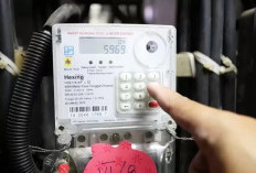 Diskon Listrik Peluang Tingkatkan Kesejahteraan Keluarga