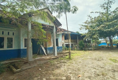 Penangkaran Penyu di Ngambur Rusak, Pokmaswas Minta Perbaikan 