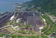 PNBP Sektor Minerba Terus Meningkat