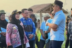 Eva Dwiana-Bupati Lamsel Tinjau Jalan Perbatasan