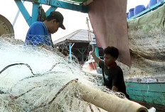 Angin Kencang, Puluhan Kapal Nelayan di Bandar Lampung Tak Melaut