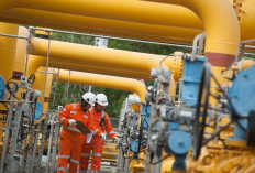 SKK Migas Dorong Percepatan  Pembangunan Infrastruktur Distribusi Gas 