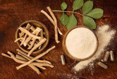  Manfaat Ashwagandha, Tanaman Herbal India 