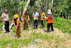 Saluran Air di Mesuji Alami Sedimentasi 