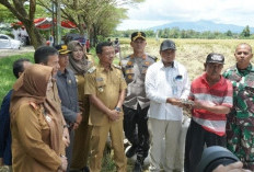 Panen Raya Padi di Pringsewu, Produksi Capai 83 Ribu Ton Gabah