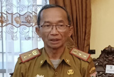 Calon PPPK Lampung Timur Tunggu Keputusan BKN 