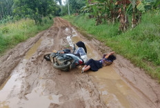  Jalan Penghubung Dua Pekon Rusak Parah