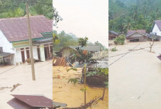 Banjir Bandang Terjang Suoh, Rumah hingga Hanyut Terbawa Arus 