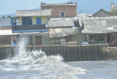  Waspada Peningkatan Gelombang Tinggi Air Laut, BMKG Atensi Kurangi Aktivitas di Pesisir Pantai di Lampung
