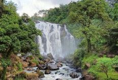 Curug Gangsa, Destinasi Wisata Waykanan yang Tersembunyi dan Memesona 